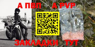 прущие грибы Лесосибирск