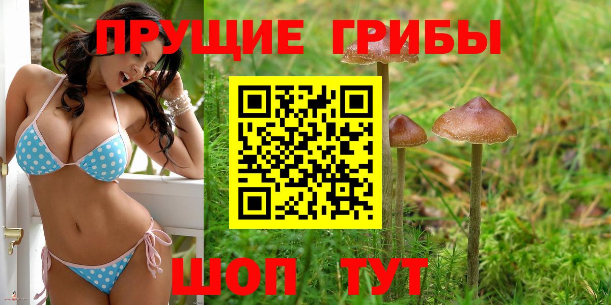 Галлюциногенные грибы Magic Shrooms Губкинский